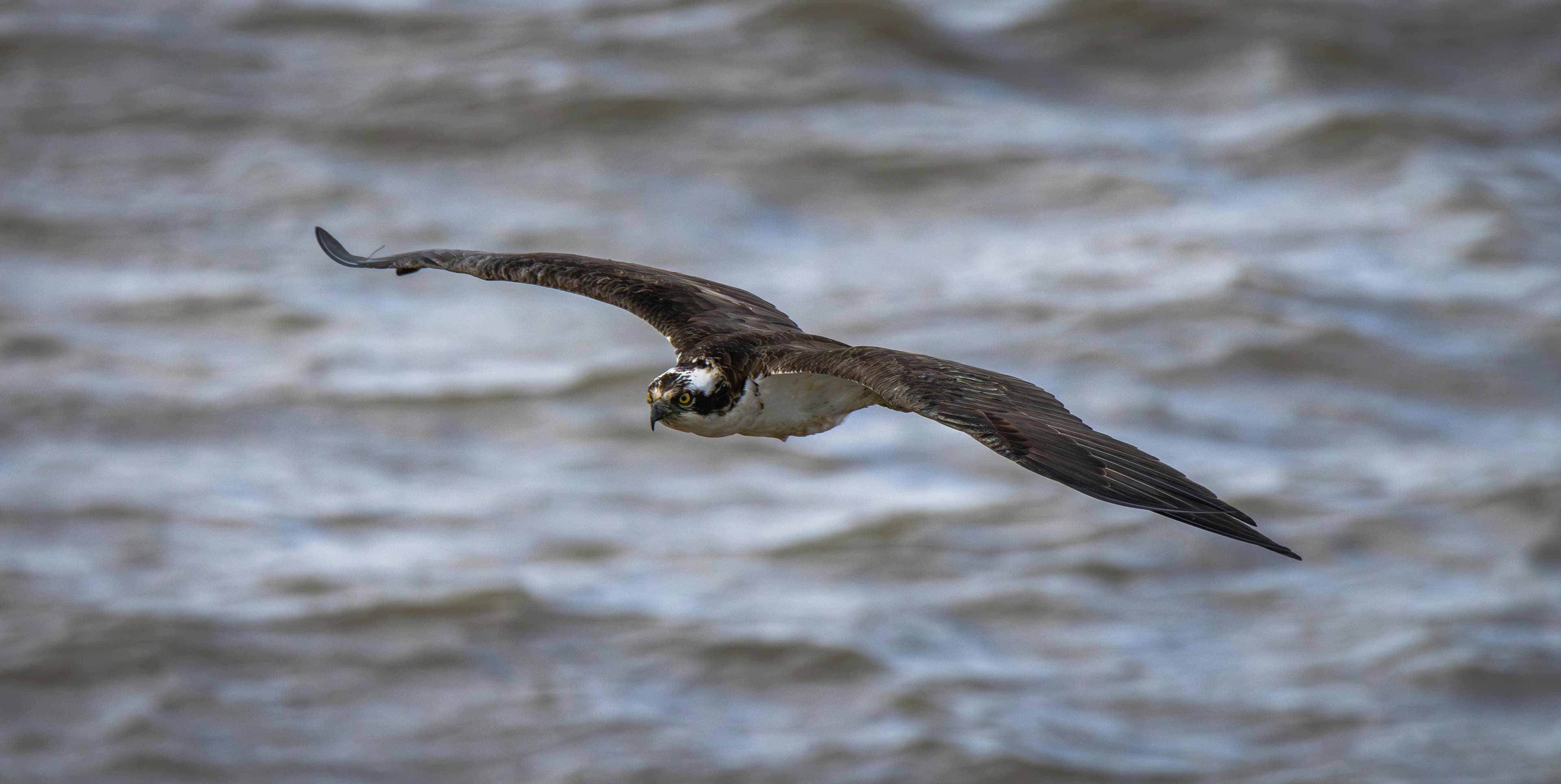 Osprey Luggage: Three Options for Ski Travel